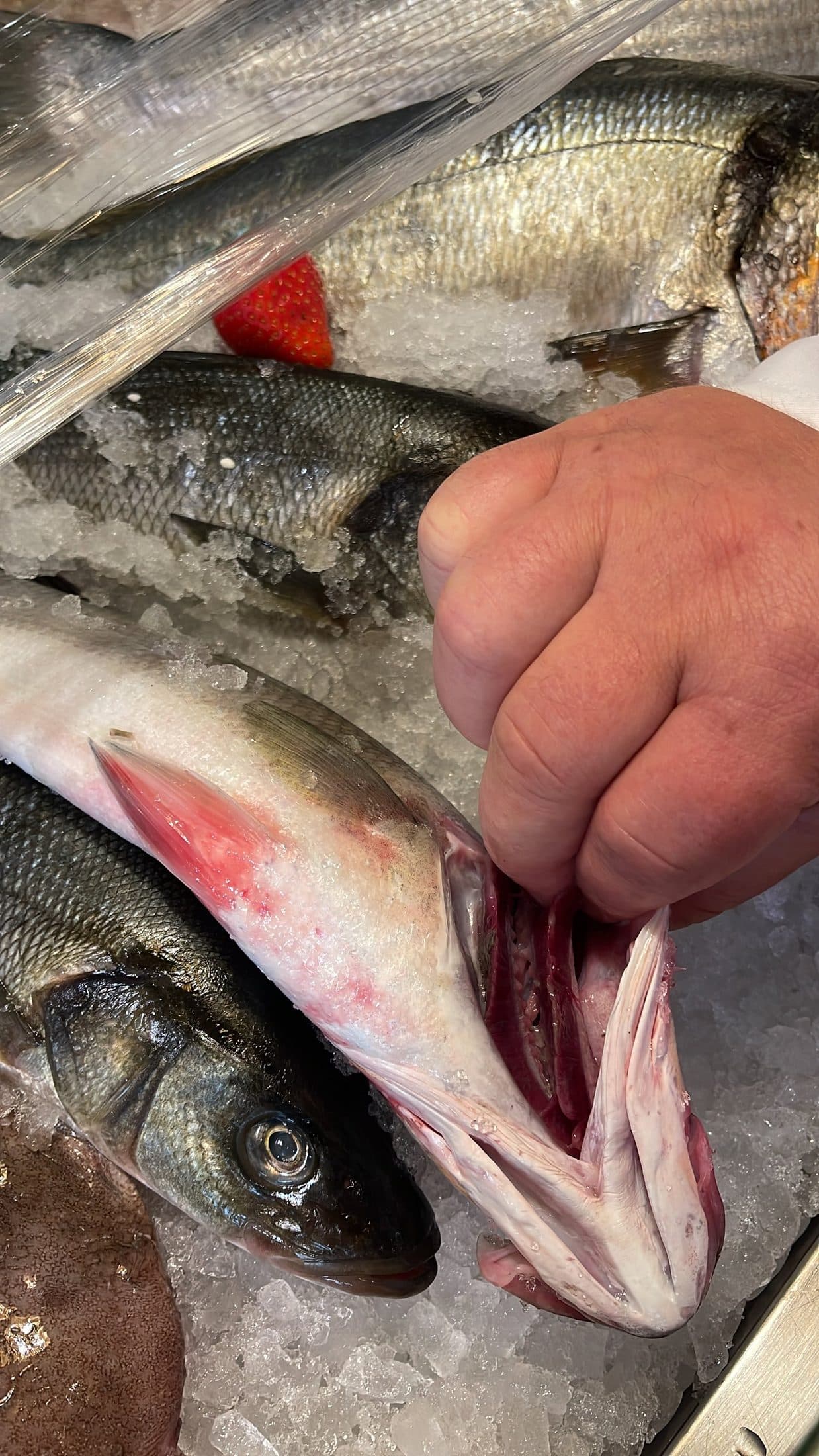Hand cleaning a whole fish laid out on ice