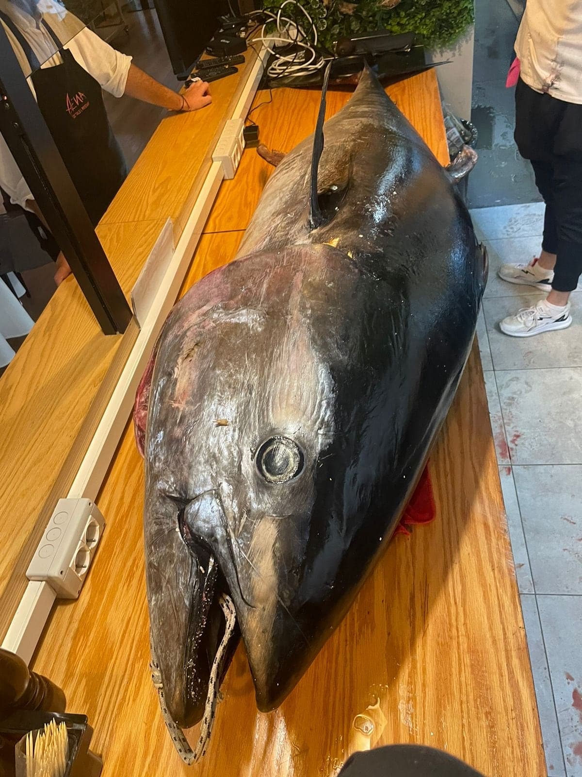 A whole tuna laid out on the counter as it's prepared